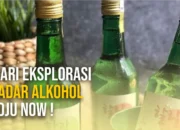 Mari Eksplorasi Kadar Alkohol Soju Now !