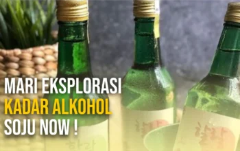 Mari Eksplorasi Kadar Alkohol Soju Now !