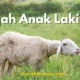 Aqiqah Anak Laki Laki: Simak Now Penjelasan & Hikmahnya