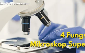 4 Fungsi Mikroskop Super Amazing, Kamu Wajib Tahu !